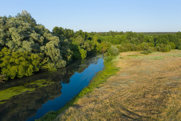 River and trees evening landscape of nature aerial view in summer