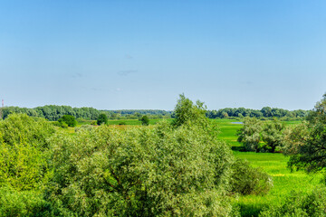 Obraz premium Picturesque summer landscape. View from hill to lawland with green grass, groves and lakes. Beautiful natural background