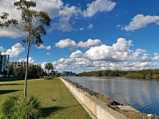 Beautiful sunny day view of Parramatta river near Ermington, New South Wales, Australia