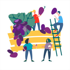 People picking grapes. Harvesting concept. Agritourism concept. Fresh fruit concept. Vector illustration in flat style