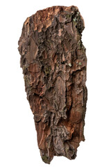 A piece of pine bark, Tree bark isolated on white background, with clipping path