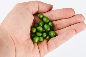 Raw green coffee seeds