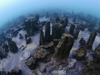 microbialite structure castles and towers underwater slow motion