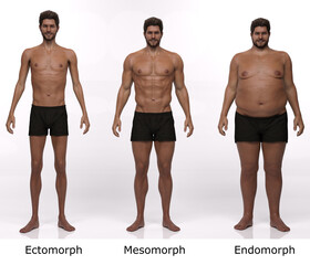 3D Rendering : standing male body type illustration : ectomorph (skinny type), mesomorph (muscular type), endomorph (heavy weight type),Front View