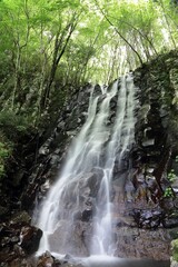 Naklejka premium 阿波の大滝