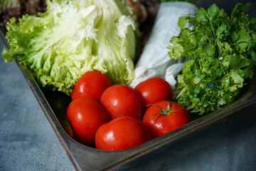 fresh tomatoes, mushrooms, lettuce, parsley, chives on a tray. vegan ingredients for a burger
