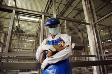 Woman veterinarian holding a little 
macaque monkey in the monkey cage.