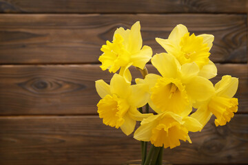 Yellow daffodils on wooden background