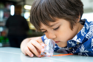 Portrait of curious kid boy looking at lady bug crawling in bug box, Summer outdoors time for...