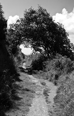 Obraz premium Scenic South England Coastline Seaside Beautiful View of the Sea No People