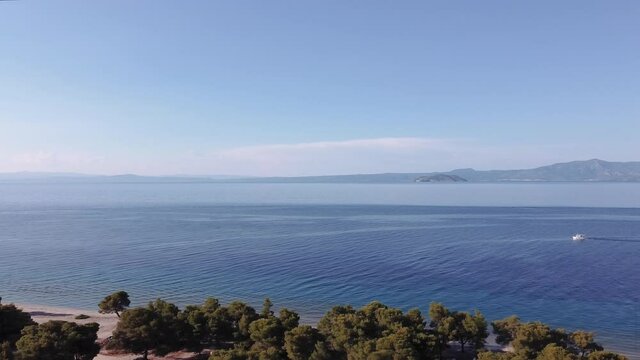 Drone flying revealing shot of fishing boat at calm sea in Greece. Aerial top view of caique sailing at Kassandra Chalkidiki peninsula shoreline with green plantation & background Sithonia view.