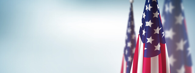 usa flag