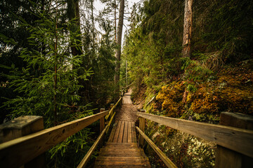 Wooden footpath along white sandstone Sietiniezis outcrops in Gauja National Park