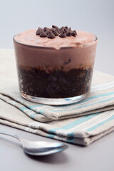 Chocolate mud pie with ice cream and chocolate chip toppings