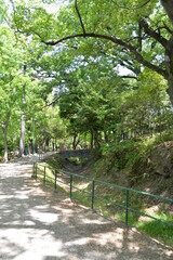 公園の歩道