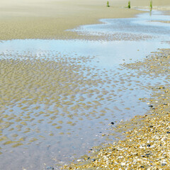 Sand and water on beach