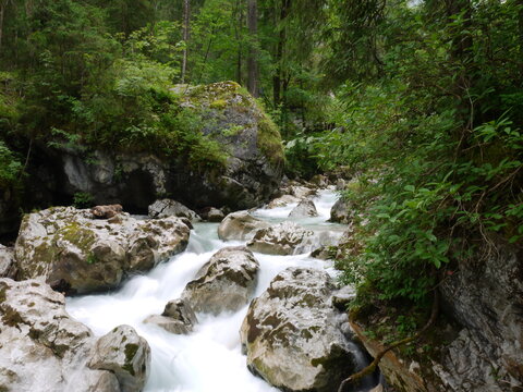 Der Zauberwald am Hintersee