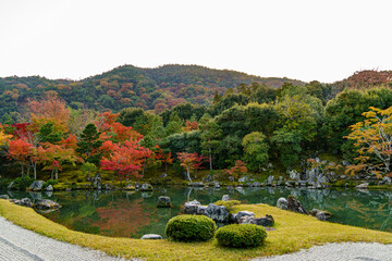 秋の紅葉