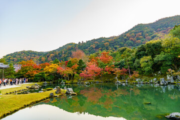秋の紅葉