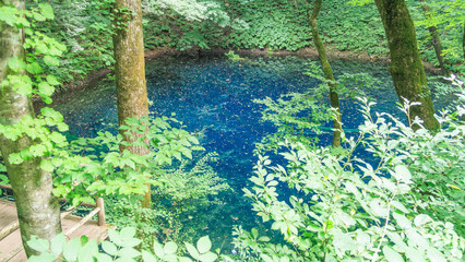 Blue pond, Aoike, Shirakami-Sanchi, world Heritage, Aomori, Japan