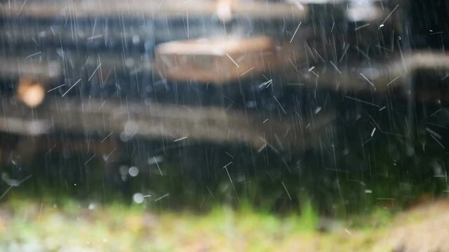 Heavy rain in the summer in the yard