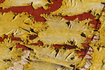 Dyed leather being dried under the sun. Traditional leather tannery in Old Fez, vats for tanning...
