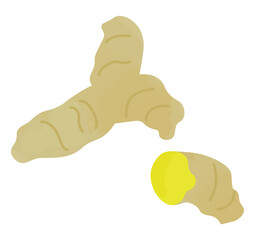 ウコンのイラスト