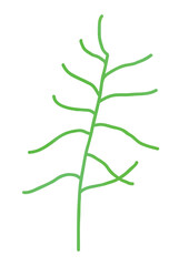 オカヒジキのイラスト