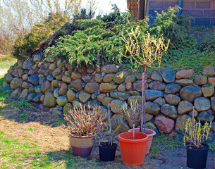 After wintering