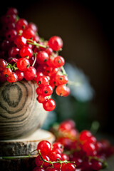 Fresh red currants in plate on dark rustic wooden table. Background with copy space. Selective focus.