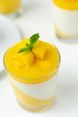 Italian dessert mango panna cotta decorated with fresh mango and mint