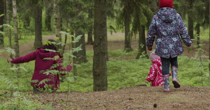 Rear view of mother and two daughters while walking amidst forest with dog