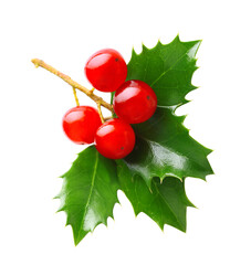 Holly berry leaves Christmas decoration