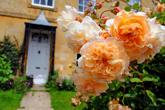 Blockley Village Cottage Cotswolds Gloucestershire