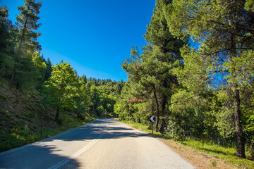 Road over beautiful forest  at Evia island.  Greece.