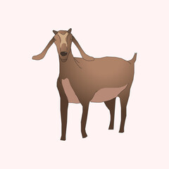 Illustration of a brown goat with a small horn