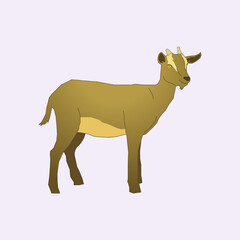 Illustration of a brown goat with a small horn