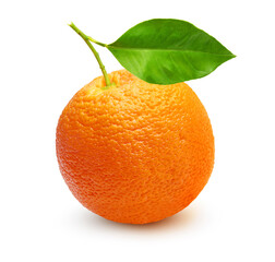 Orange fruit isolated