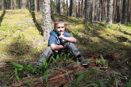 Child resting in pine forest