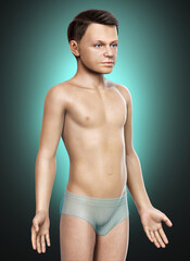 3d rendered illustration of the young boy body