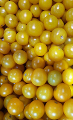 many ripe yellow special tomatoes