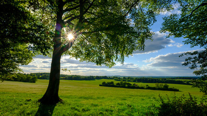 Obraz premium View from Wheely Down near Warnford in the Meon Valley