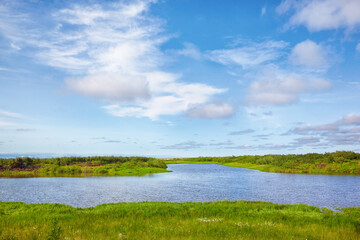 Meadow near river Kolyma  in Yakutia