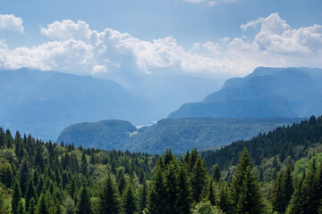 Zajamniki on a plateau Pokljuka in Julian Alps, Triglav national park, Slovenia