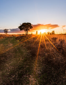 Wierdense veld Dutch Landscape
