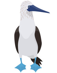 Blue-footed booby in cartoon style. Funny ocean bird.