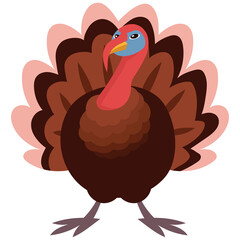 Gobbler front view. Farm animal in cartoon style.