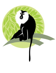 lion tailed Macaque