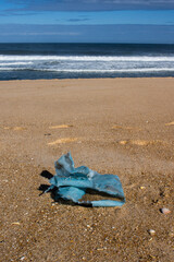 Old piece of blue torn plastic on the sand at the beach. Garbage by the sea shore. Ocean pollution concept.