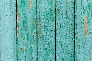 Rustic wood texture or background with scratched turquoise paint.